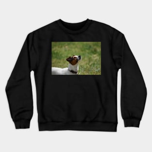 Little sniffer Crewneck Sweatshirt